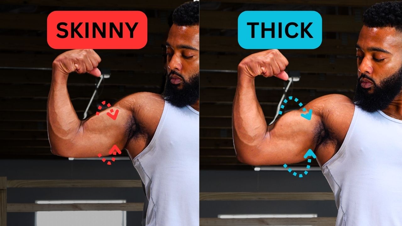 MuscleWiki Simplify your workout 2000+ Free Exercise Videos & Guides