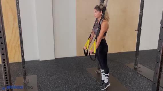 MuscleWiki - Simplify your workout