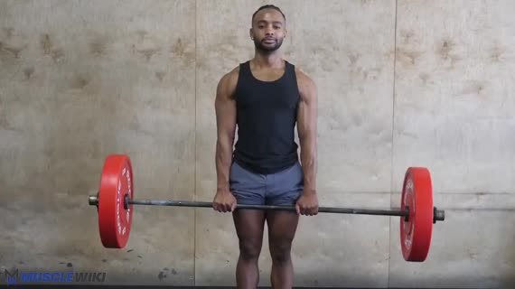 MuscleWiki - Barbell Front Raise - Shoulders