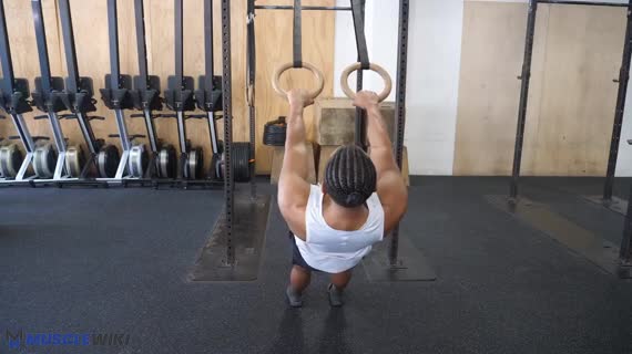 MuscleWiki - Ring Row - Biceps