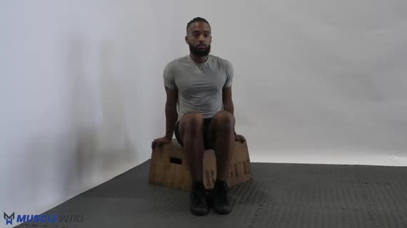 Seated Tibialis Raise