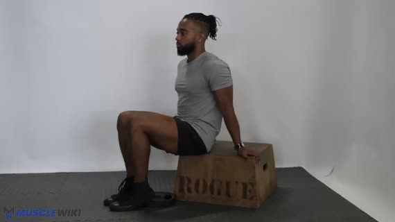 Seated Tibialis Raise