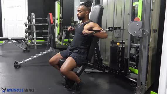 Seated Cable Chest Press 