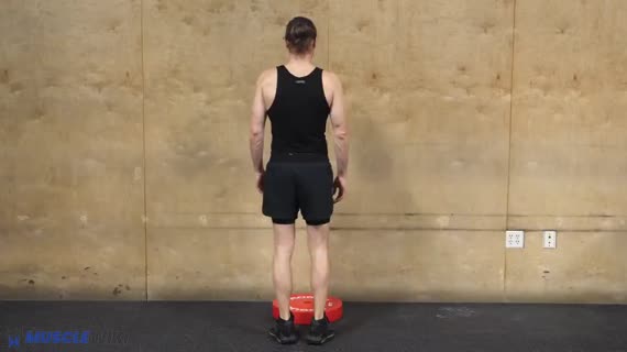 Bilateral calf raise sale