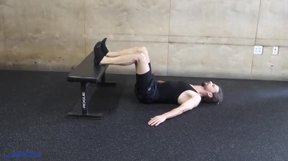 MuscleWiki Hamstring Bridge With Elevated Legs Box Bilateral Glutes