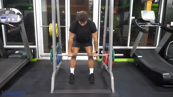 smith machine row proper form