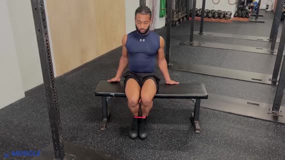 MuscleWiki - Dumbbell Leg Extension - Quads