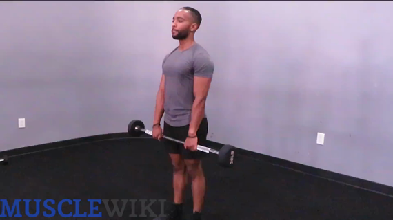 Barbell upright row, Exercise Videos & Guides