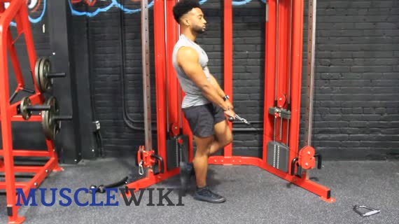 Cable single leg deadlift sale