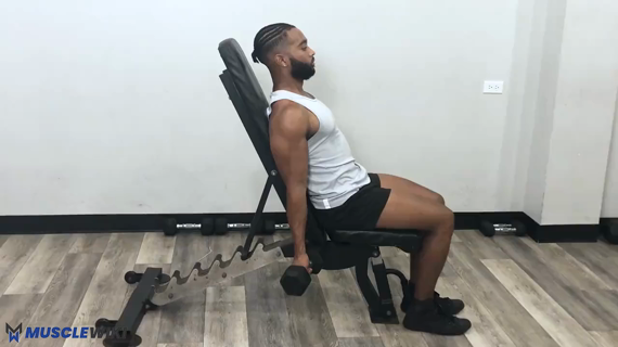 dumbbell bicep curl incline bench