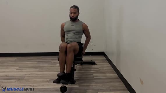 MuscleWiki - Dumbbell Leg Extension - Quads