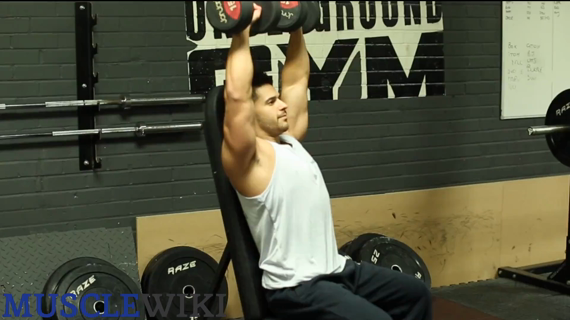 seated dumbbell overhead press