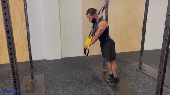 MuscleWiki - Simplify your workout
