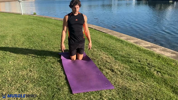 Sphinx Pose | Basic yoga poses, Basic yoga, Learn yoga